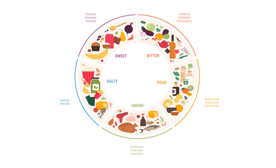 Sucré salé acide amer et umami kokumi gras glucides Cultures sucre